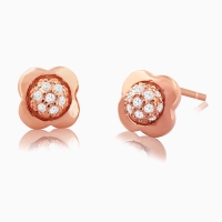 silver rose gold earrings